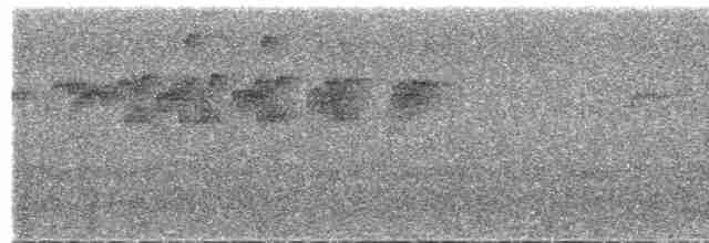 rorýs bělokrký - ML619719915