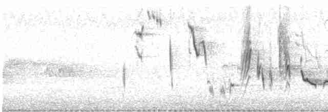 Кропив’янка чорноголова - ML619719951