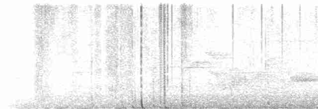 Лесной мухолов - ML619719974