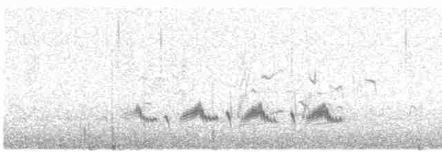 Western Orphean Warbler - ML619720029