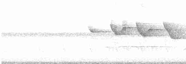 Трясогузковый певун - ML619720059