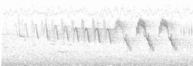 Baumpieper - ML619720558