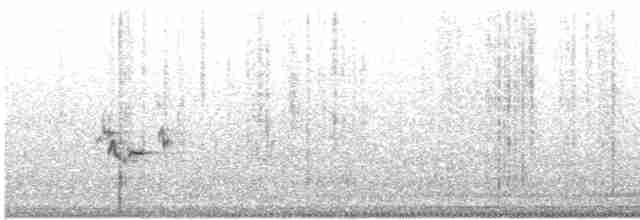 Turuncu Gagalı Bülbül Ardıcı - ML619720670
