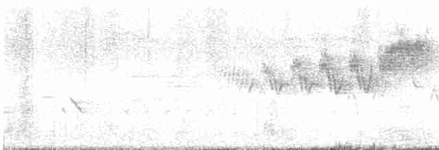 Cerulean Warbler - ML619720861