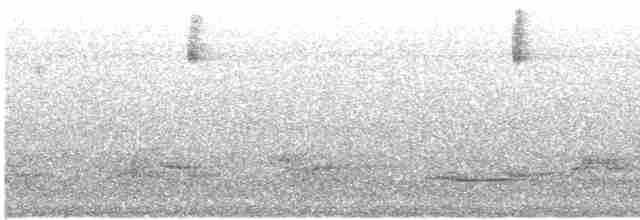busktanagarspurv (albifrons) - ML619721058