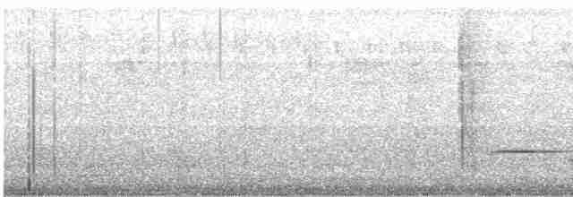 Кустарниковая кукушка (sepulcralis/everetti) - ML619721474