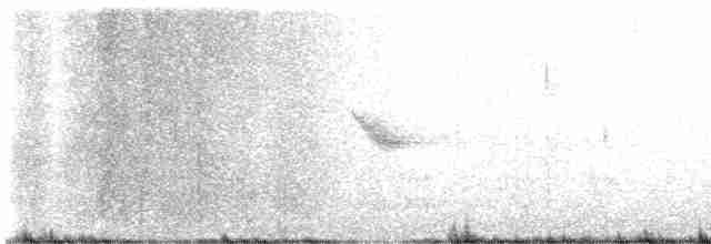 Bicknell Bülbül Ardıcı - ML619722977