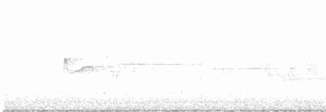 Sarı Karınlı Boreal Sinekkapan - ML619723000