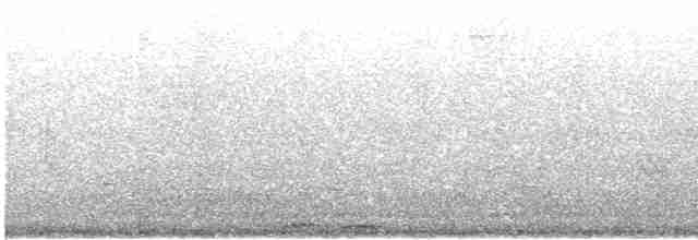 Russet-crowned Motmot - ML619723180
