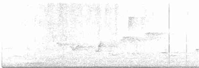 Пересмішник сірий - ML619723567