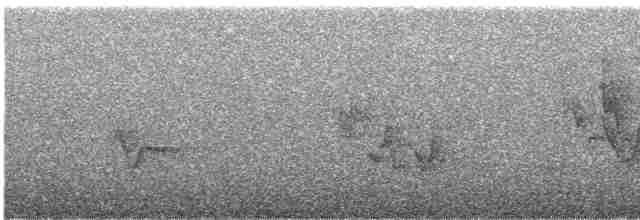 Paruline à calotte noire - ML619724121