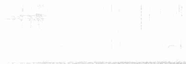 Трясогузковый певун - ML619724192