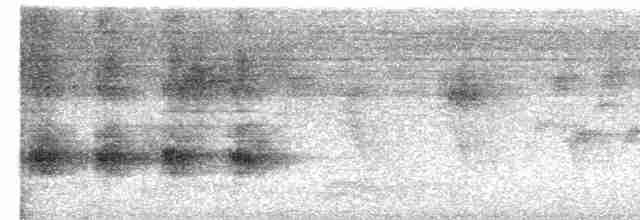 Alción de Esmirna - ML619724263