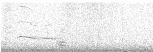 Black-bellied Plover - ML619724353