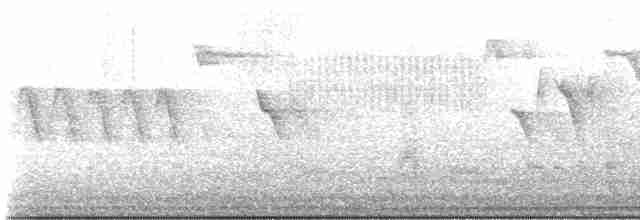 holub hřivnáč - ML619724752