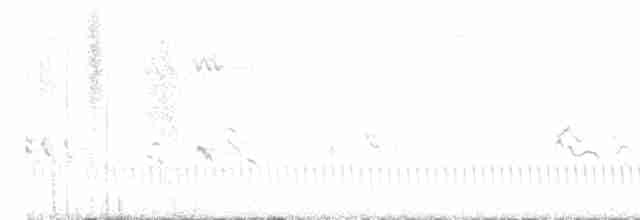 Eurasian Nightjar - ML619725019