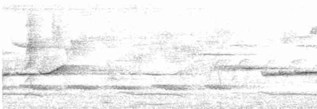 Віялохвістка білогорла - ML619725401