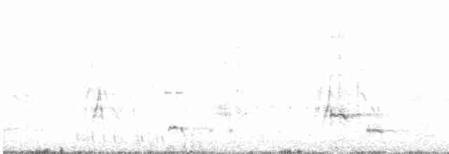 Шилохвіст жовтодзьобий - ML619726974