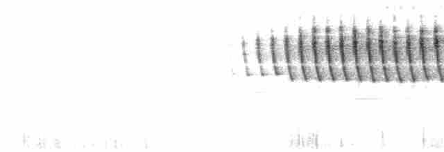 Palm Warbler - ML619728617