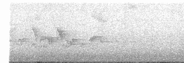 Черногорлая хвойница - ML619728624