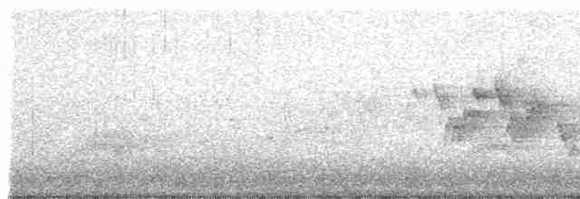 Черногорлая хвойница - ML619728626