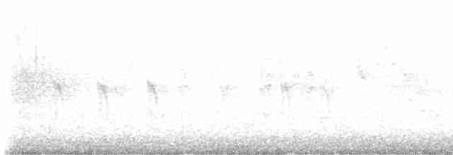 "Шишкар ялиновий (Western Hemlock, або тип 3)" - ML619729452