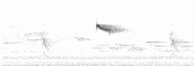 Common Kingfisher - ML619729486