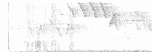 Черногорлая хвойница - ML619729550