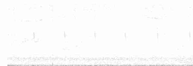 svartbrystparula - ML619730128