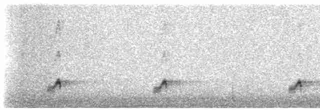 Eurasian Nightjar - ML619731274
