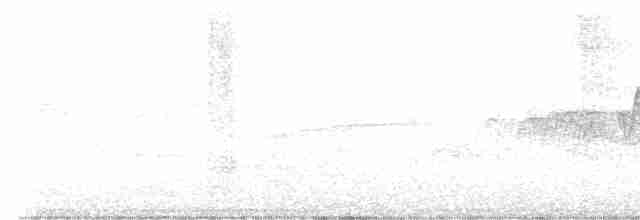 Cerulean Warbler - ML619731405
