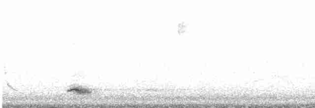 Yellow-crowned Night Heron - ML619733479