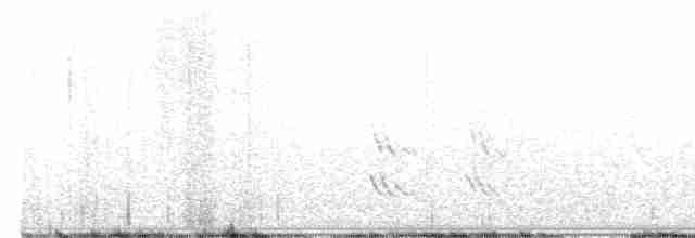 Büyük Mor Kırlangıç - ML619735087