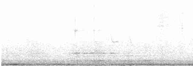 Дятел-смоктун сосновий - ML619735390