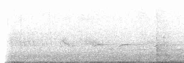 Canada Warbler - ML619736170