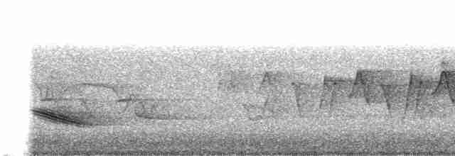 Дрізд-короткодзьоб бурий - ML619736196