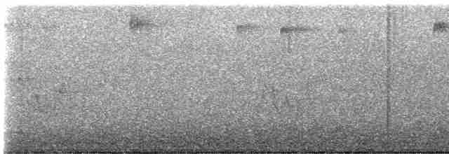 Черногорлая хвойница - ML619736428