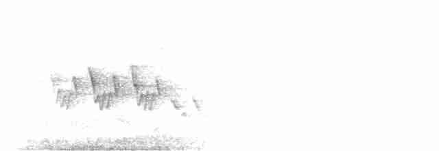Черногорлая хвойница - ML619736848