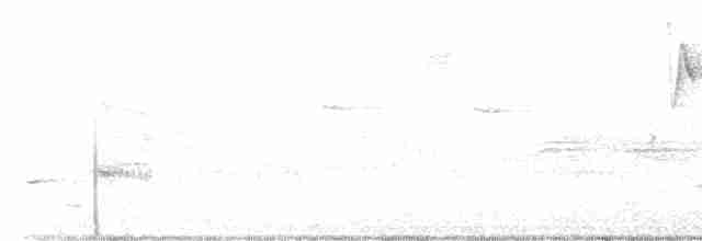 Yellow Warbler - ML619738322