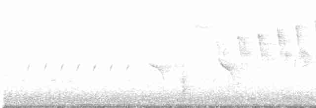 Evening Grosbeak (type 1) - ML619738530