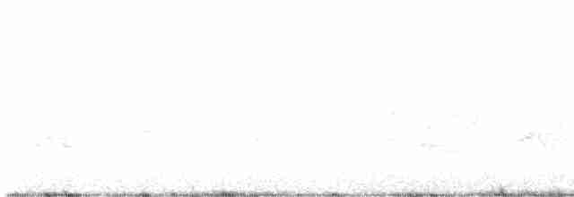 lesňáček rezavokorunkatý (ssp. ridgwayi) - ML619739229