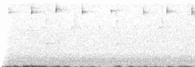 Черногорлая хвойница - ML619740944