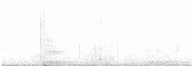 Trogon rosalba - ML619741369