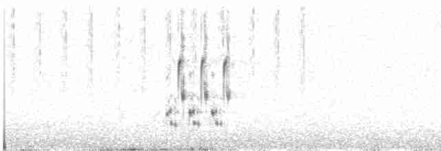 Loggerhead Shrike - ML619742475