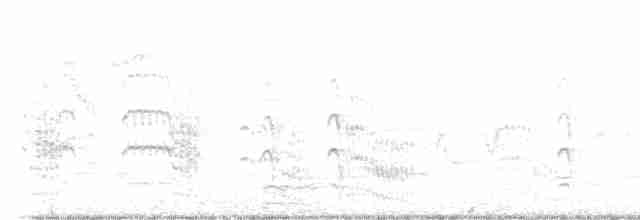 Common Tern - ML619743311