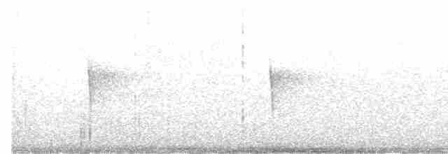 Kentucky Warbler - ML619743360