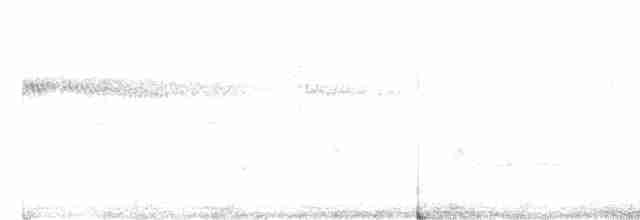 Geai de Steller (groupe diademata) - ML619743379