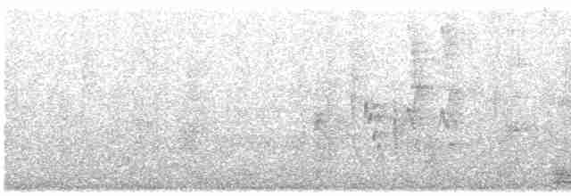 Trogon élégant - ML619743393
