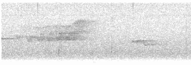 Cerulean Warbler - ML619743800