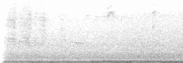 Karolina Çıtkuşu - ML619743970